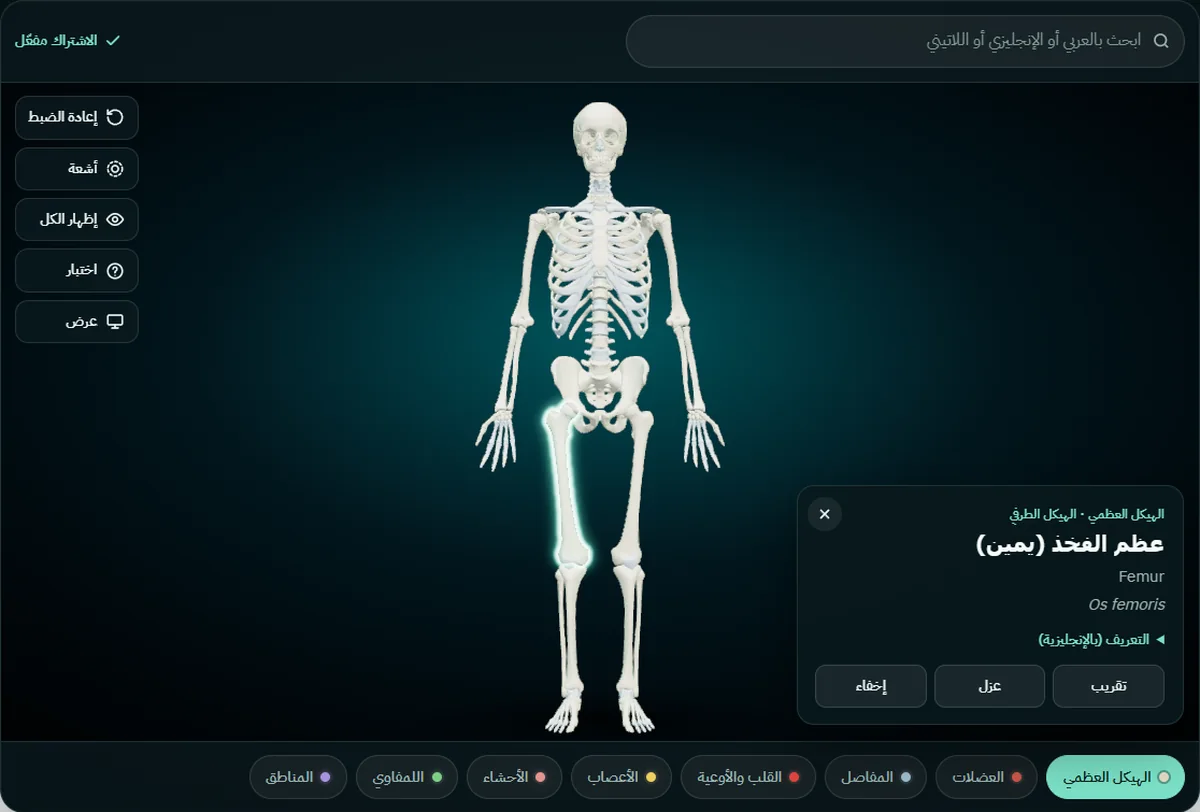 الهيكل العظمي المجاني وقد اختير عظم الفخذ الأيمن: تعرض البطاقة «عظم الفخذ (يمين)» ثم (Femur) ثم (Os femoris)، مع أزرار التقريب والعزل والإخفاء
