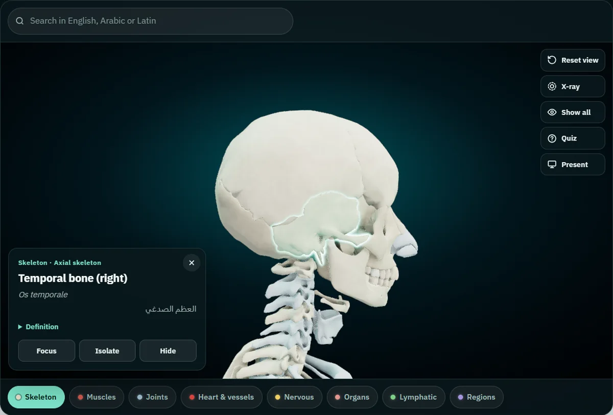 The free 3D atlas with the right temporal bone selected on the skull: the card reads Temporal bone (right), Os temporale and العظم الصدغي, with Focus, Isolate and Hide buttons