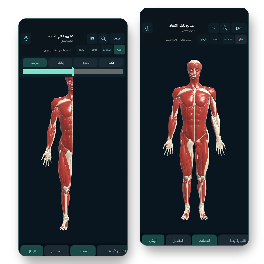 تطبيق Anatomy 3D لأندرويد: الشاشة الرئيسية والعارض ثلاثي الأبعاد