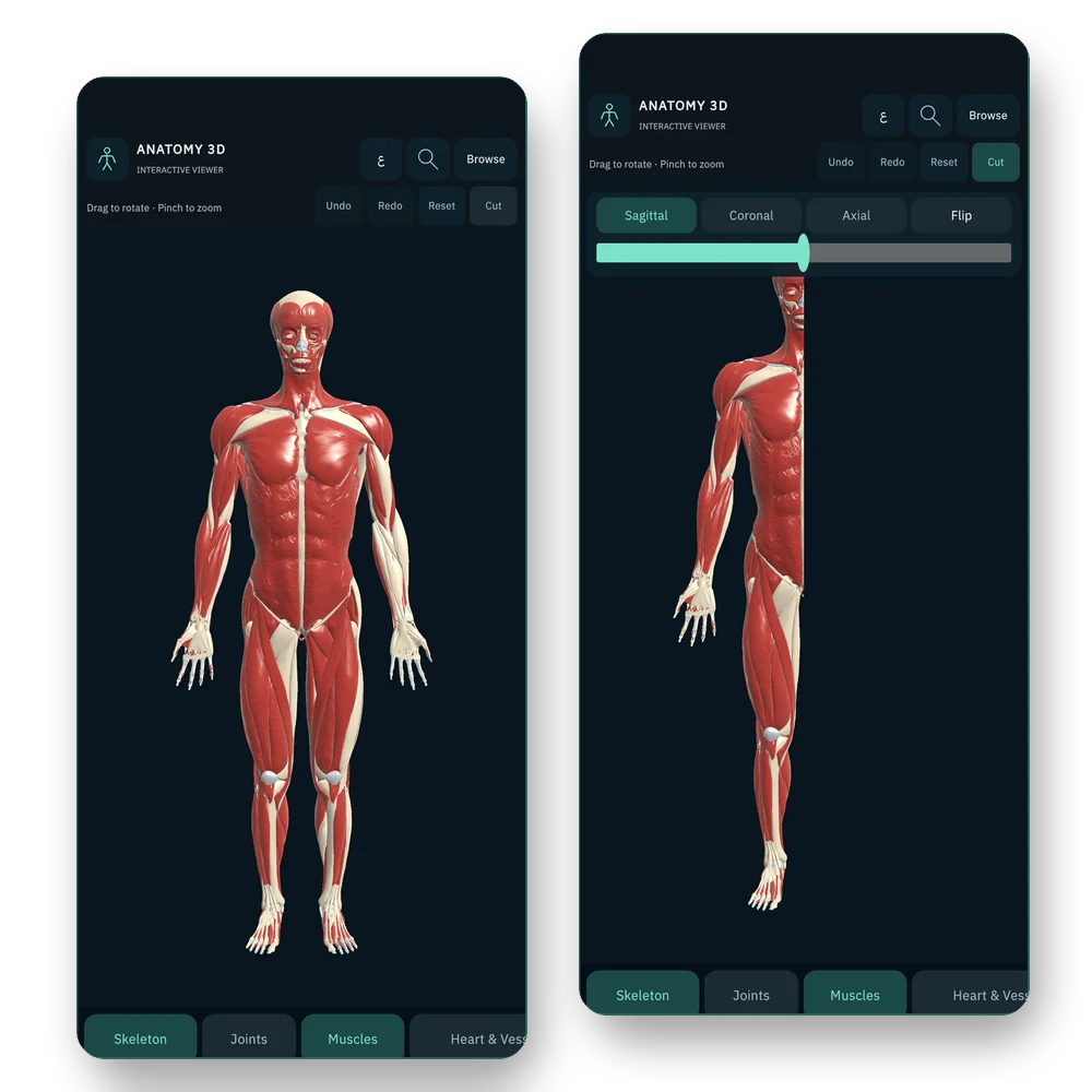 Anatomy 3D for Android: the home screen and the 3D viewer