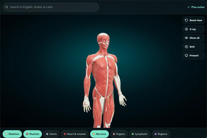 The body-system chips with the skeleton, muscles and nerves switched on