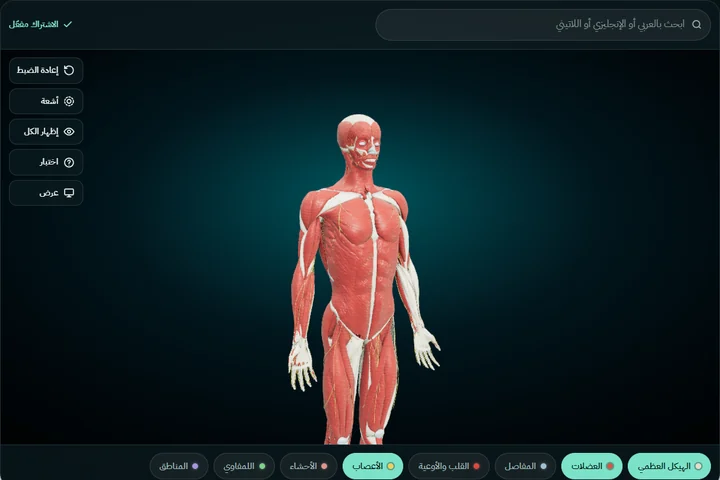 أزرار أجهزة الجسم وقد شُغّل الهيكل العظمي والعضلات والأعصاب