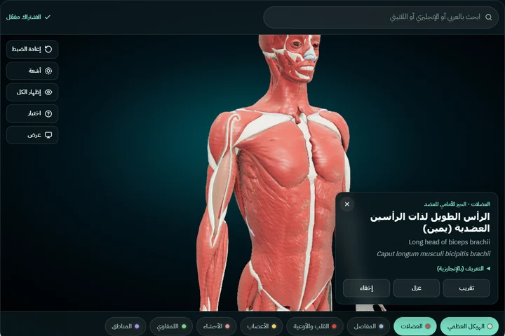 جزء مختار واسمه بالعربي والإنجليزي واللاتيني في بطاقة المعلومات